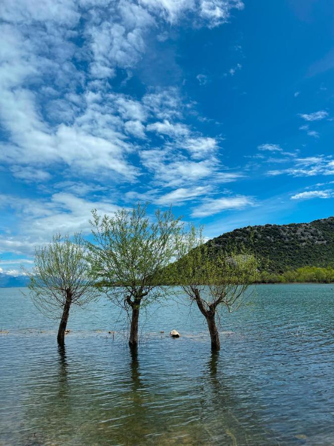 Lakeview Jolicic * Virpazar