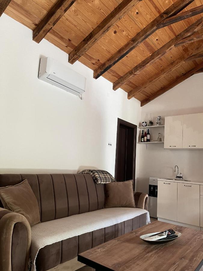 Appartement Lakeview Jolicic