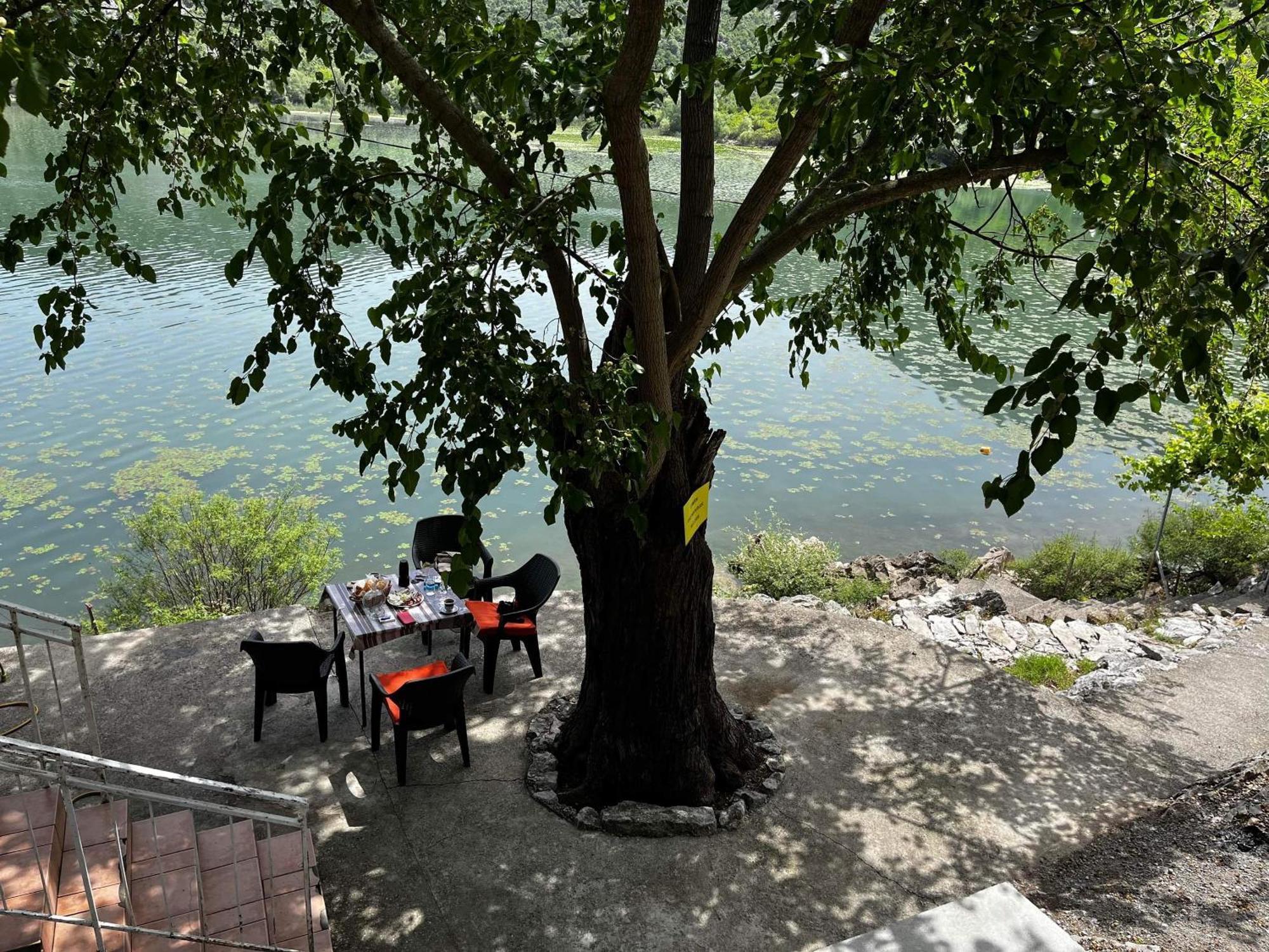 Appartement Lakeview Jolicic